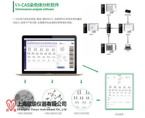 染色體分析系統.jpg