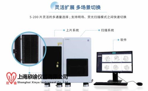 染色體分析160片高通量分析系統畸變微核分析系統XY-AIS-160圖像分析系統