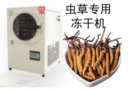 蟲草小型凍干機實驗室XY-FD-L4中藥冷凍干燥機小型家用真空冷凍干燥機