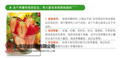 凍干產品 草莓1_副本.jpg
